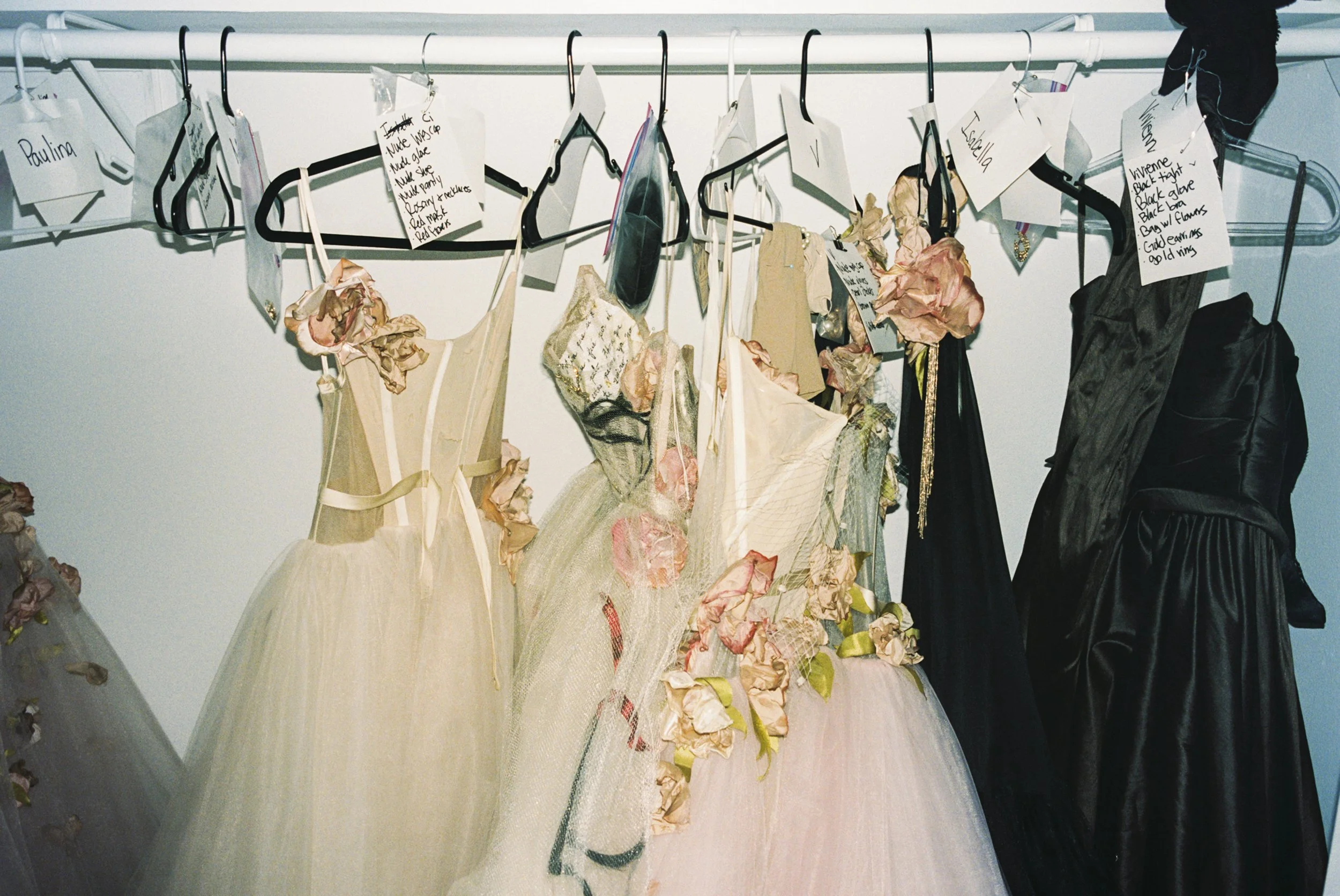 Don Nico Web Versions-11.jpg