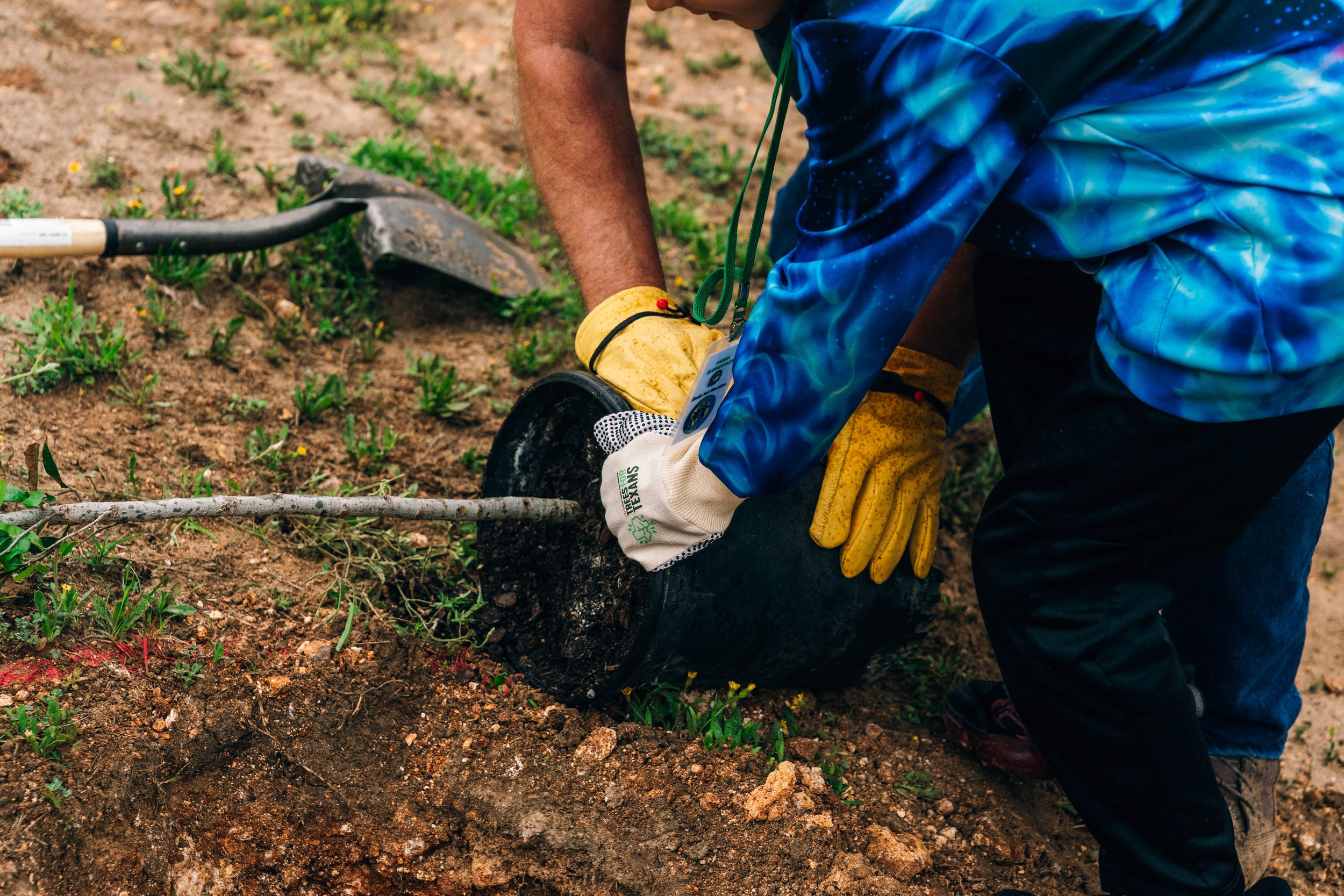 Fabra Elementary Tree Planting-116.jpg