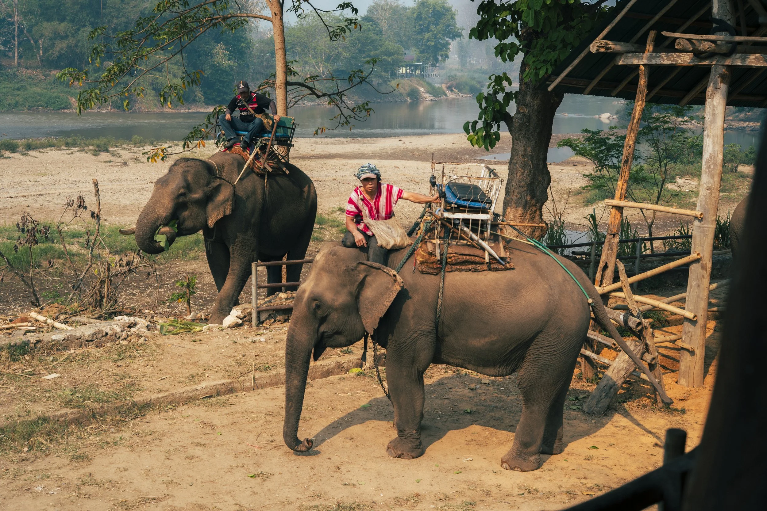 Thailand 2023-8.jpg