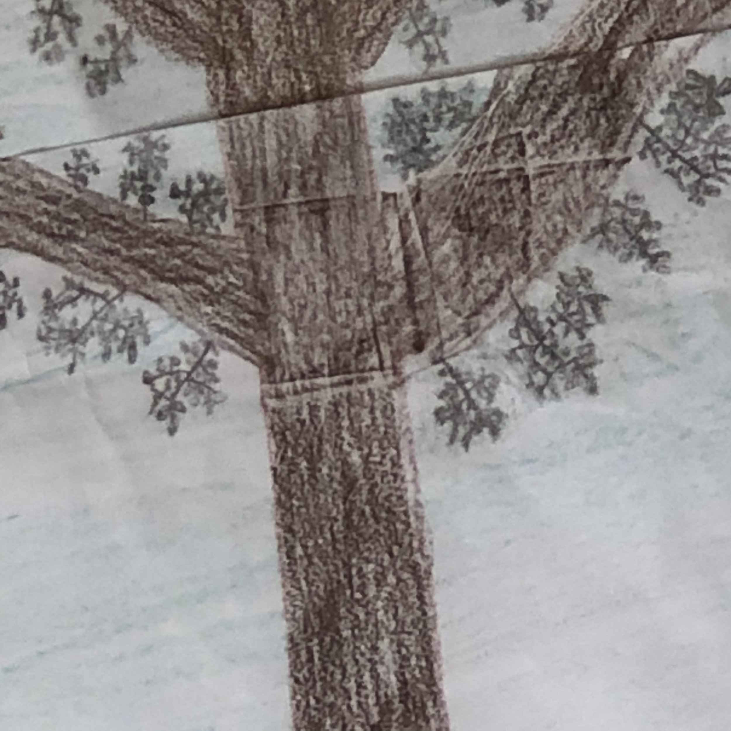 3F97757C-043B-4909-B94C-EF4D00006F34.jpeg