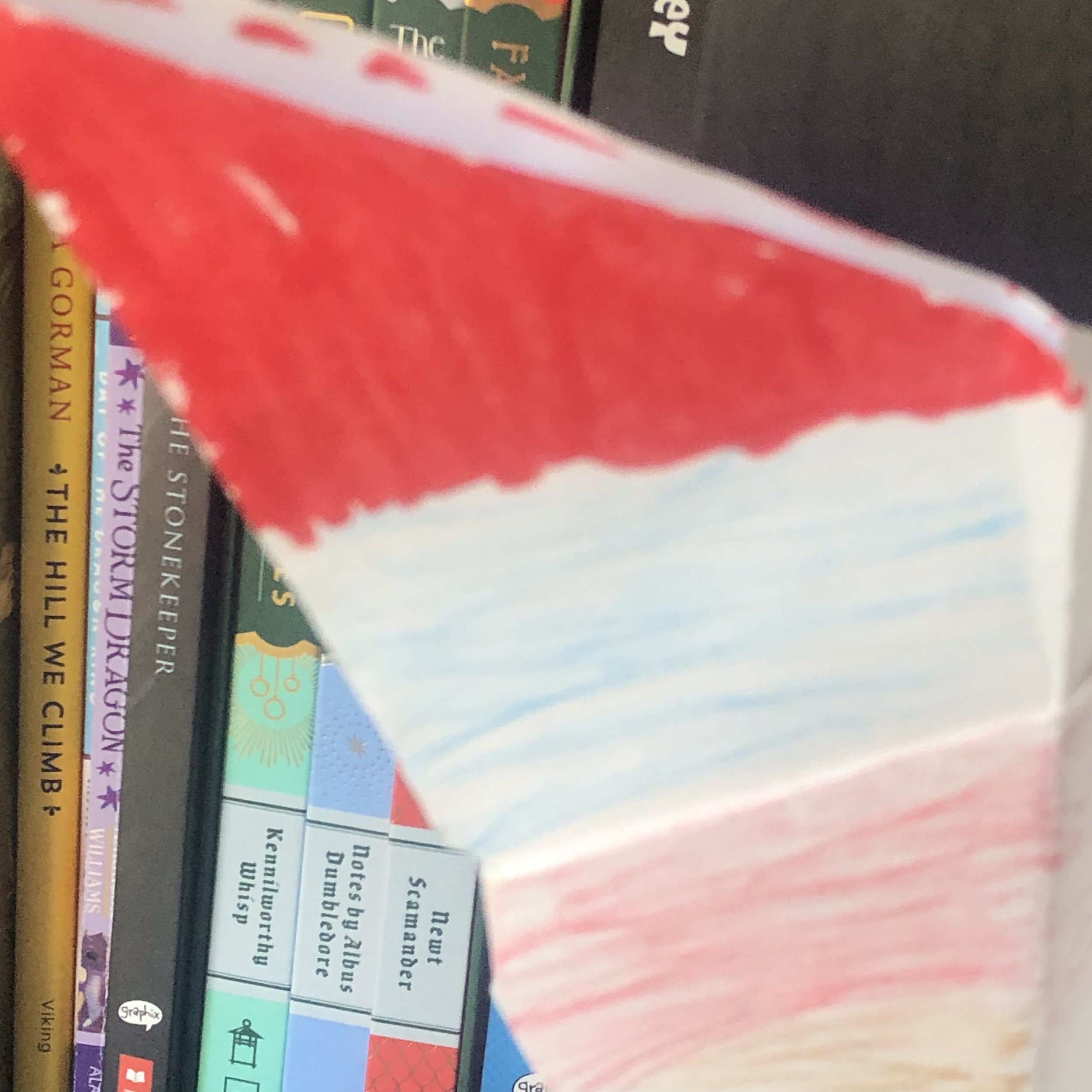 47213154-70AF-4F02-8831-9ABF26B9B07E.jpeg