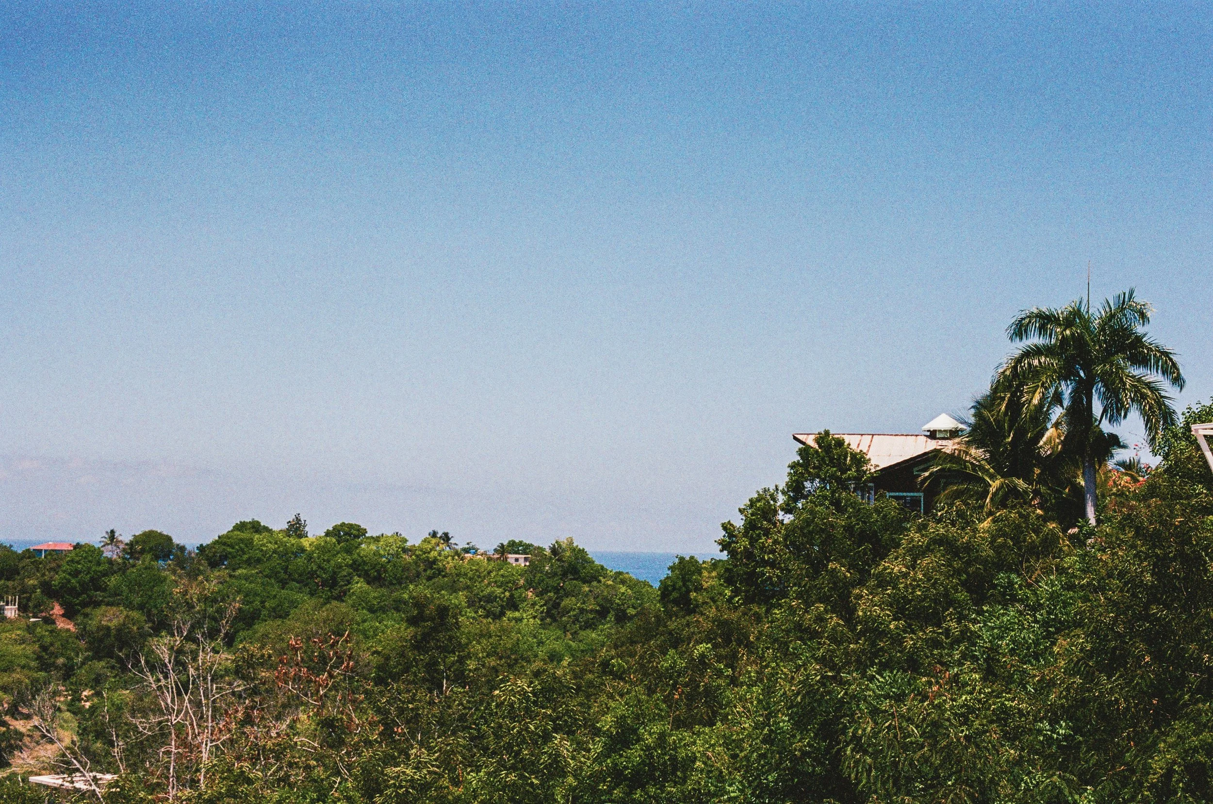 8-000004610026.jpg