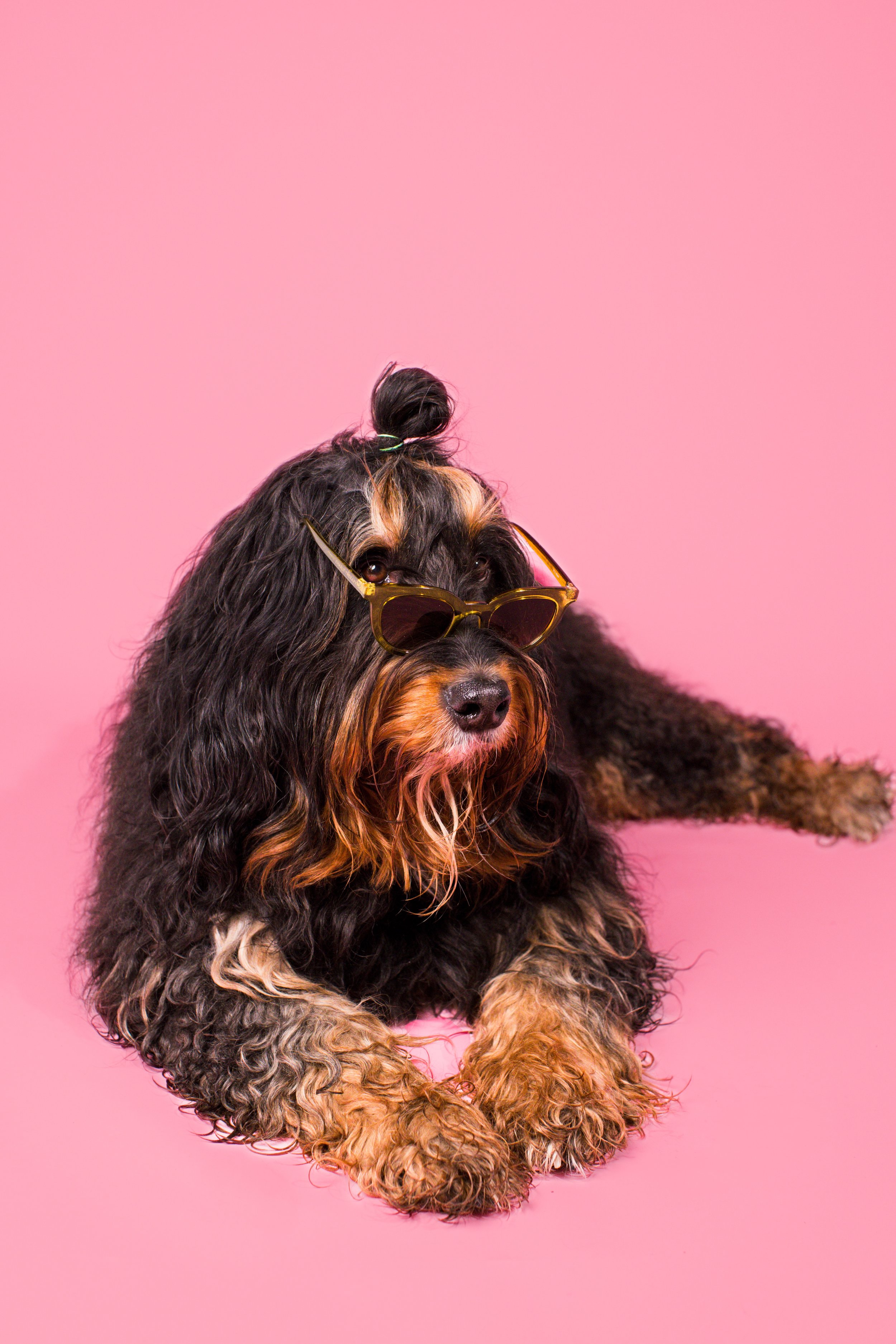 2025.02.13_A Place for Ace_Valentines Test.jpg