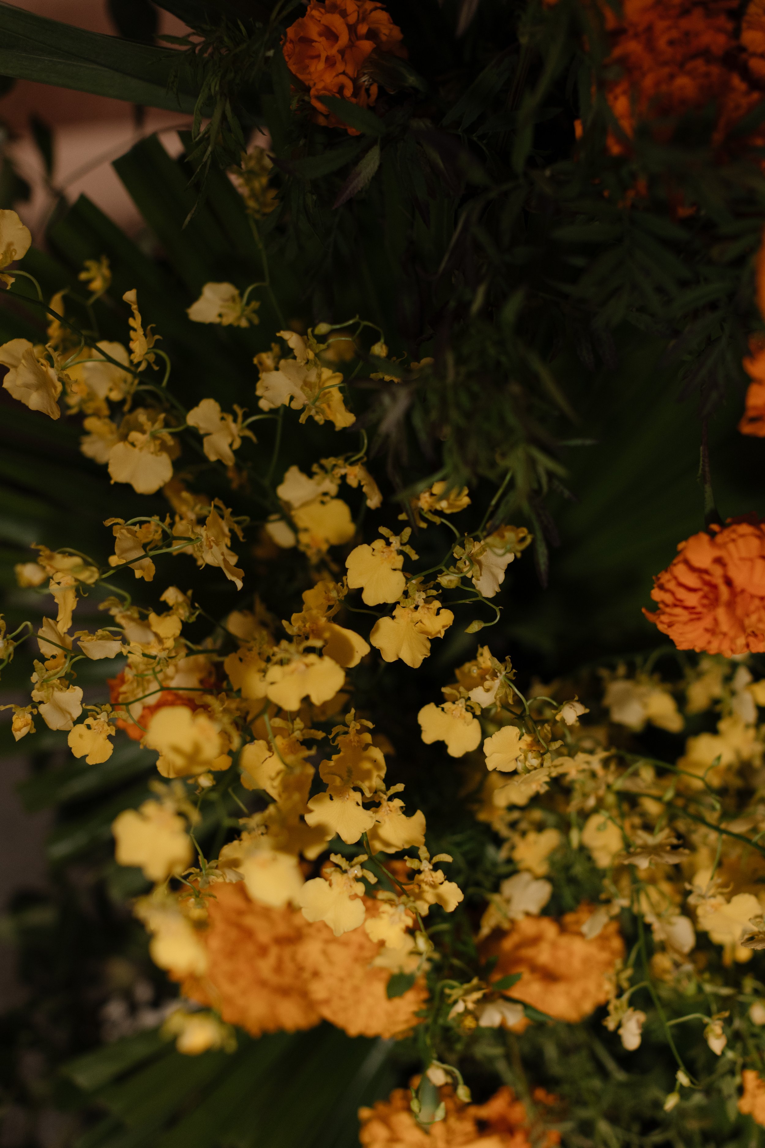 20241020 Lucia Shaan - Sangeet-100.jpg
