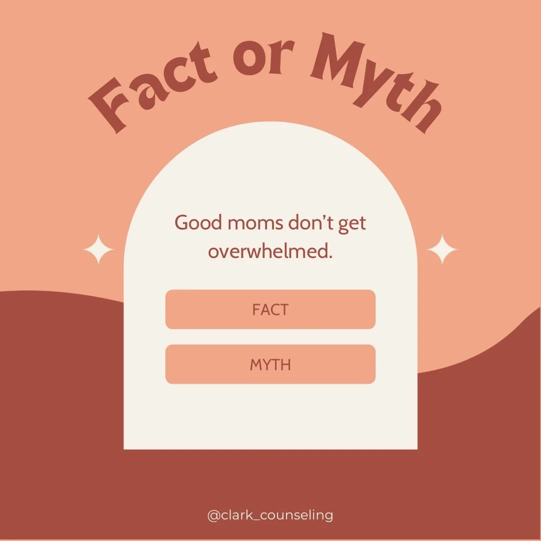 Myth: &ldquo;Good moms don&rsquo;t get overwhelmed.&rdquo;
Truth: Good moms get overwhelmed because they care, because they&rsquo;re human, and because they&rsquo;re carrying more than most people will ever see.

Being overwhelmed doesn&rsquo;t mean 