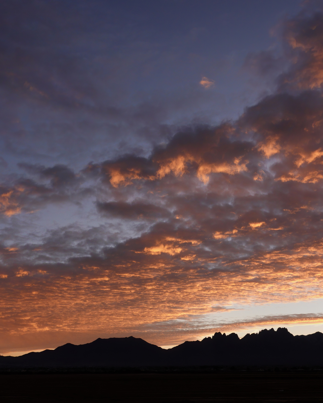 Weird Facts You Never Knew About Las Cruces