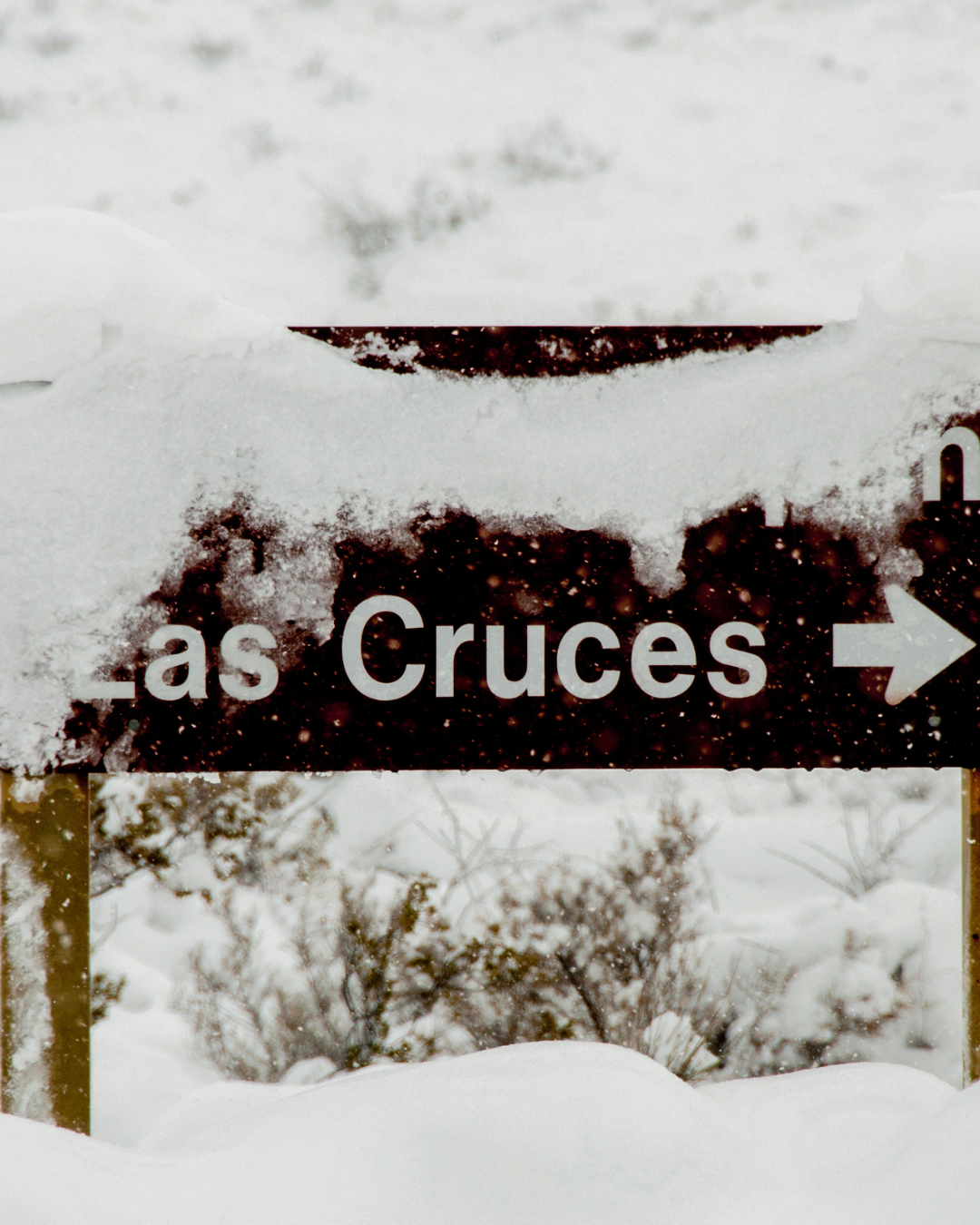 🏡 Top 5 Las Cruces Neighborhoods You Need To See