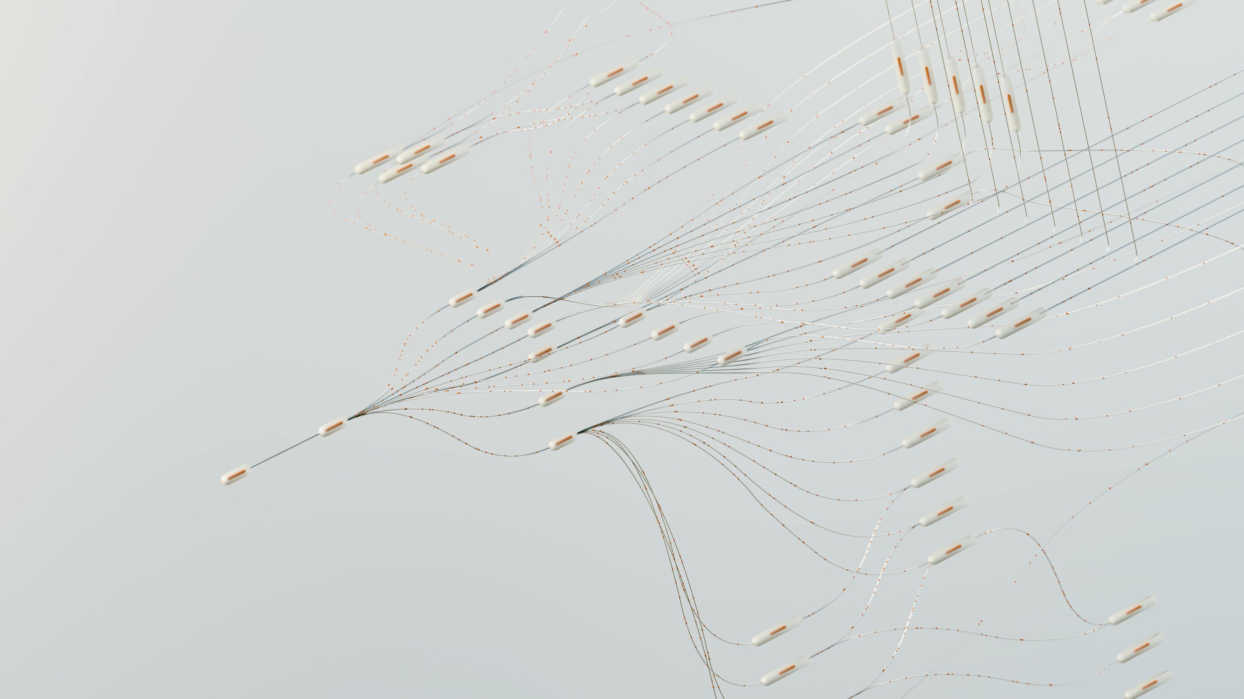 Your Nervous System Needs a Spring Reset