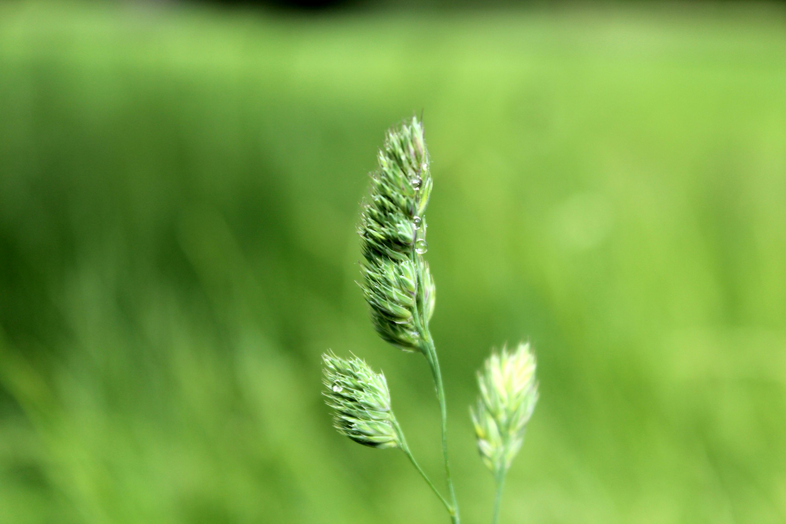 Spring Cleaning for Your Mind