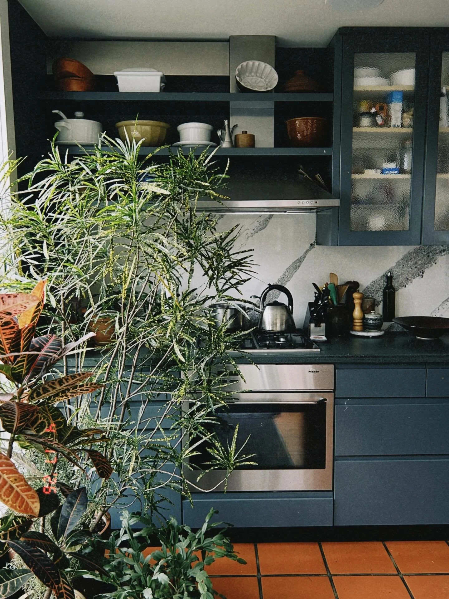 The kitchen at #projectlippincott is hardly getting touched (she&rsquo;s already perfect!), but it IS acting as the storage space for all the house plants during the renovation.  And if this green, light-filled oasis isn&rsquo;t major inspiration the