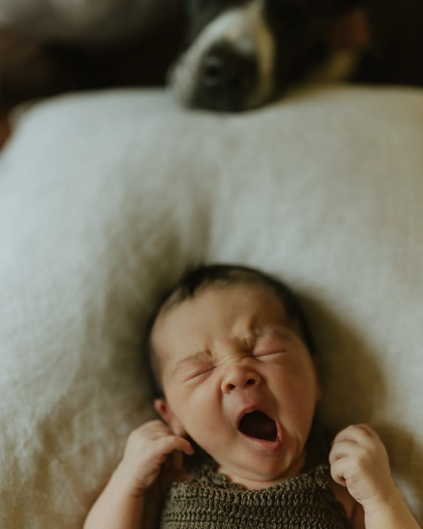 Baby Rose at home 🌹 

#darwinphotographer #motherhoodunplugged #thestorytellingtribe
#unscriptedposingapp
#theimperfectlyperfectmoments #storyteller #emotivestorytelling
#familyphotography #thecapturedfolk #lifestylephotographer #darwin #beach #suns