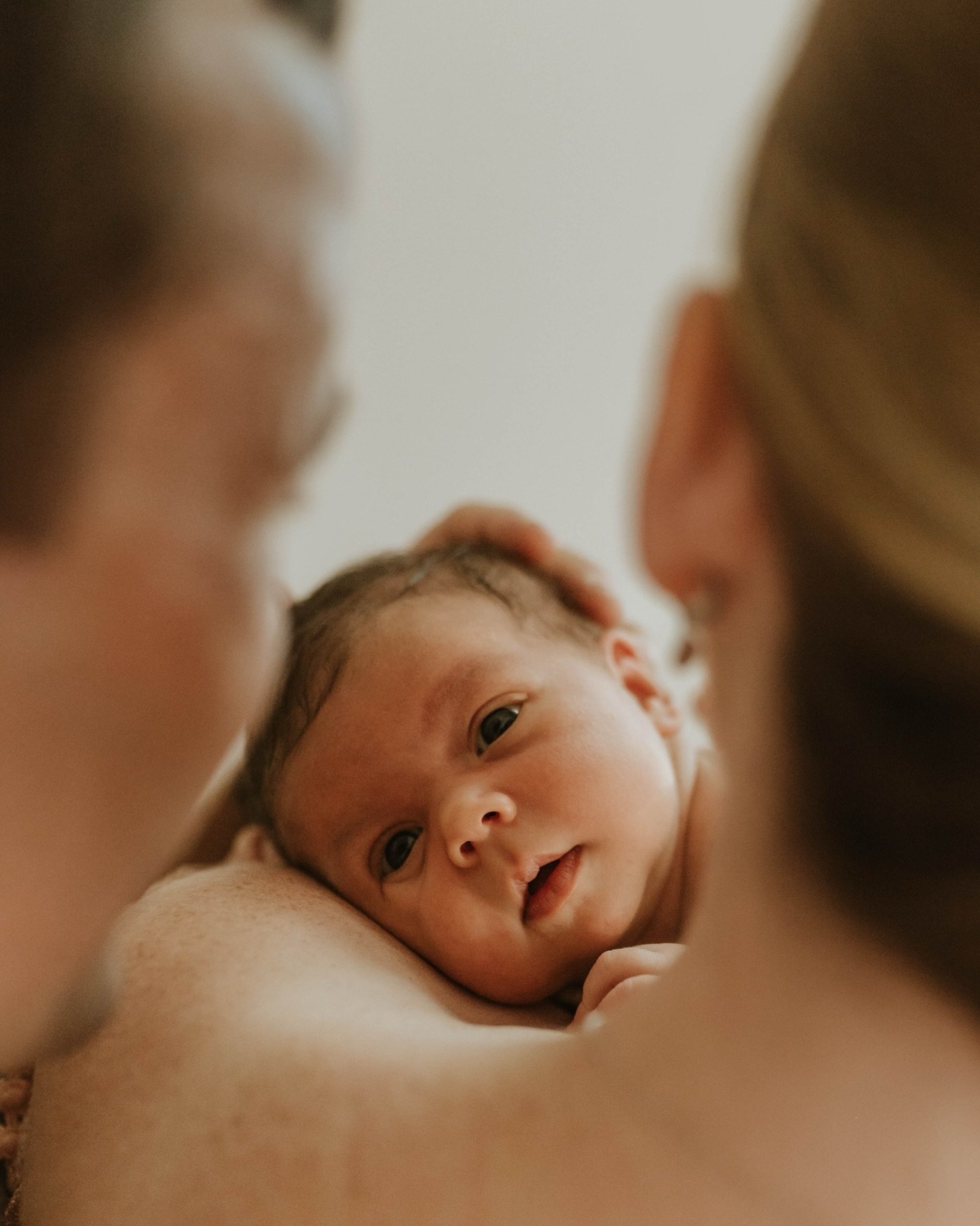 Little Blaire, already so perfectly at home with her family. A proud big brother, and parents completely smitten. Such an honour to be welcomed into their beautiful space to capture them as a family of four 🤍
⟡
⟡
⟡
The Captured Folk 
Maternity ⟡ Mot