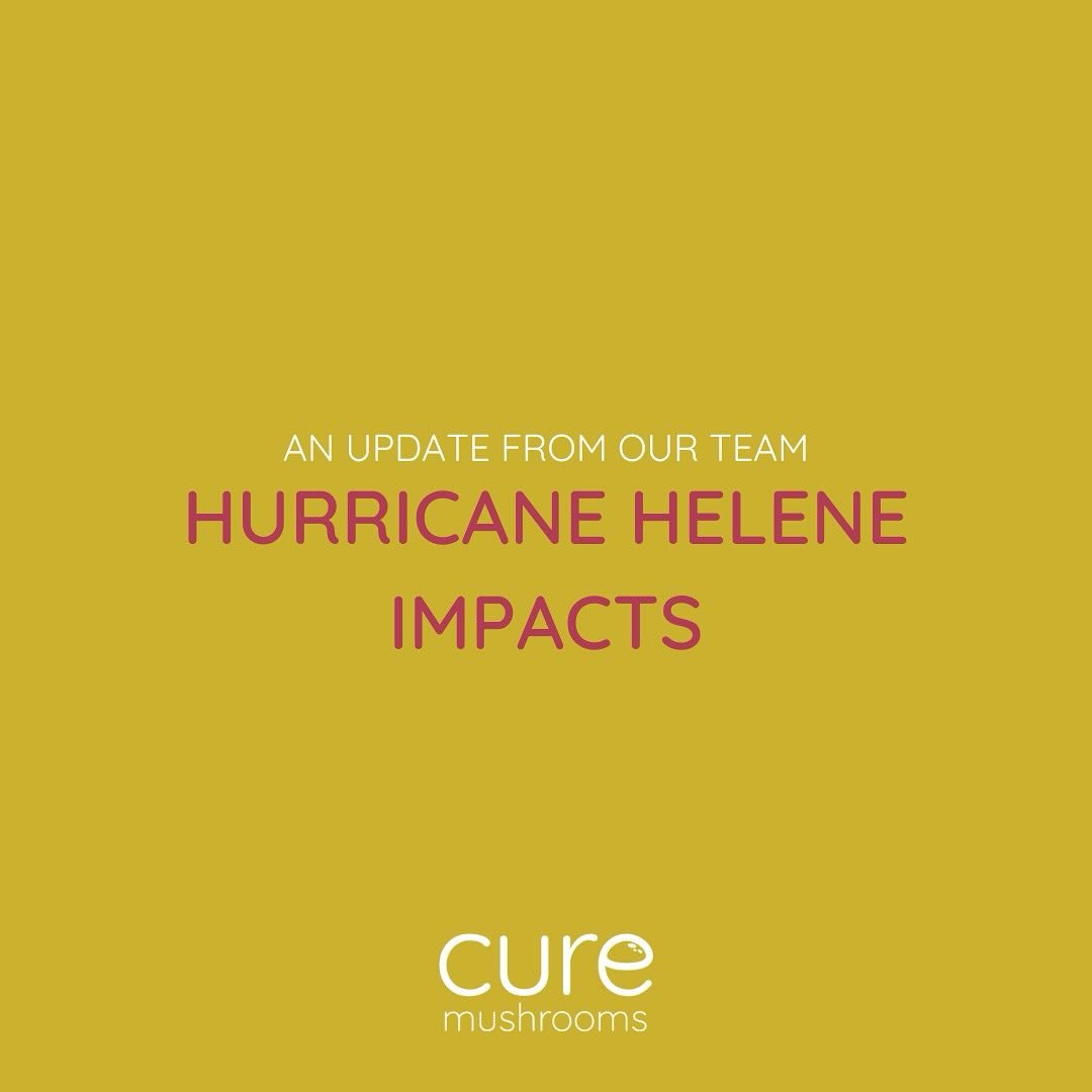 First and foremost, we are thinking of everyone affected by Hurricane Helene. We are HQ&rsquo;d in Tampa and are so thankful our team is safe. 

We have customers all over the country, so we wanted to update you all on the impact of the storm on your