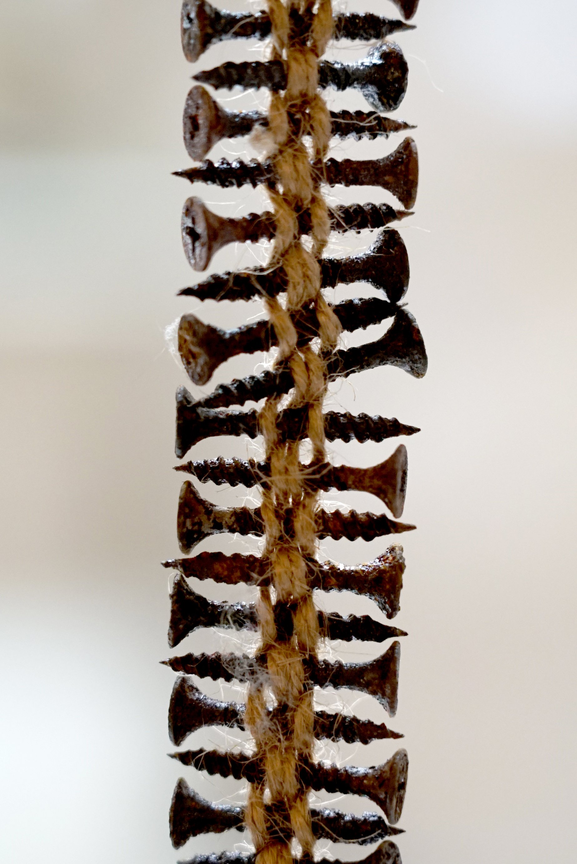 Nails9.JPG