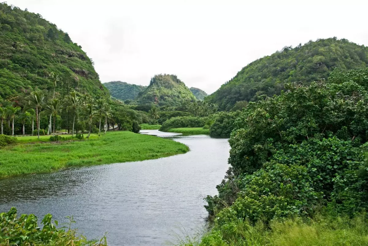 Special Benefit Event - Waimea Valley -  Saturday, MAR 25, 2023