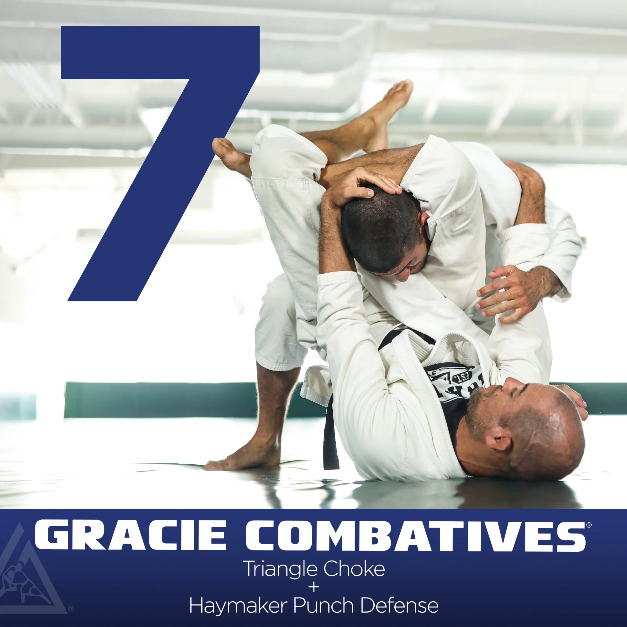 Gracie Combatives® Class 7 — Gracie Jiu Jitsu Centreville