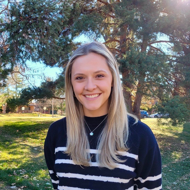 Phebe Davis, LPC, counselor, therapist