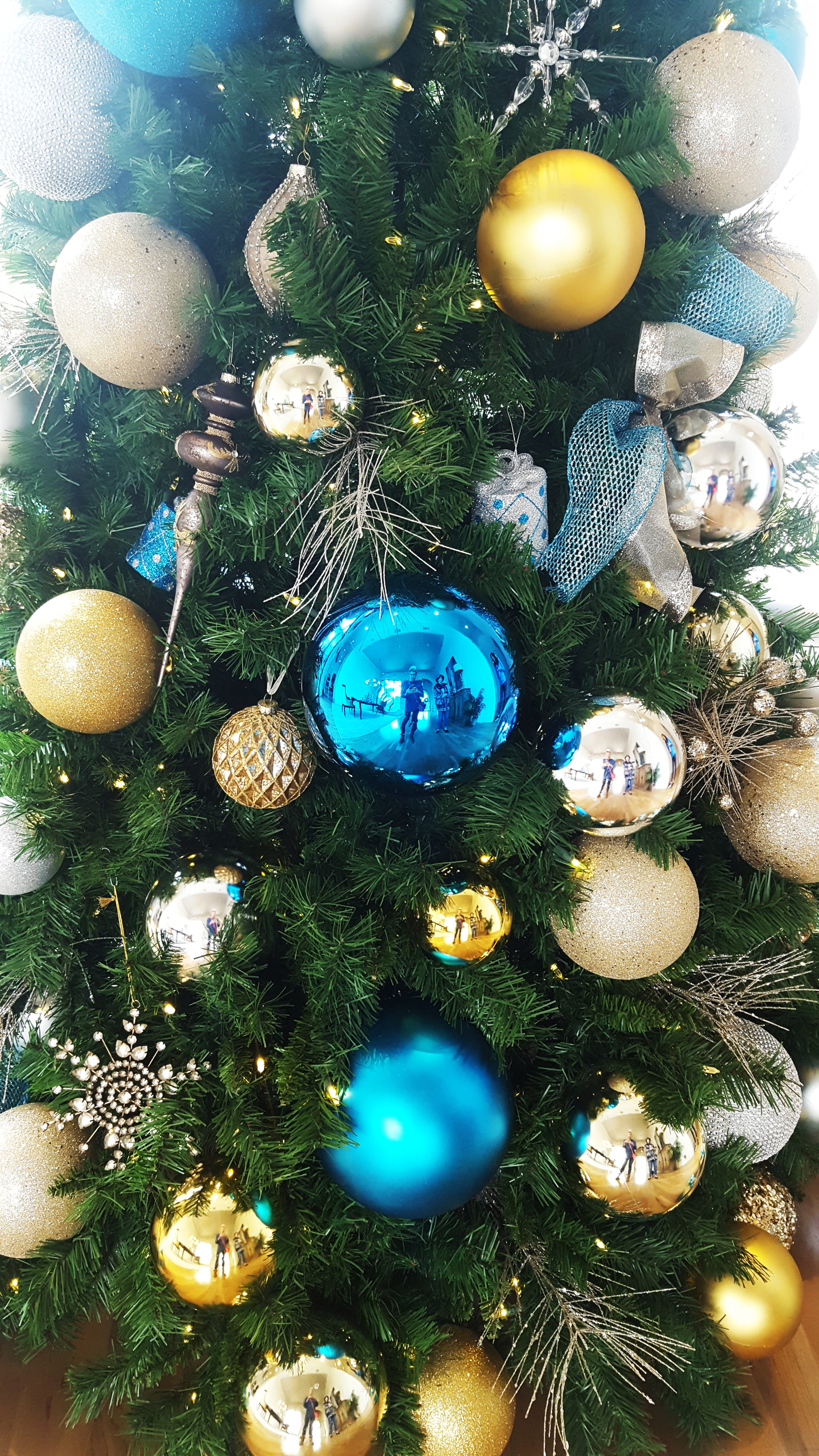 20161207_133005.jpg