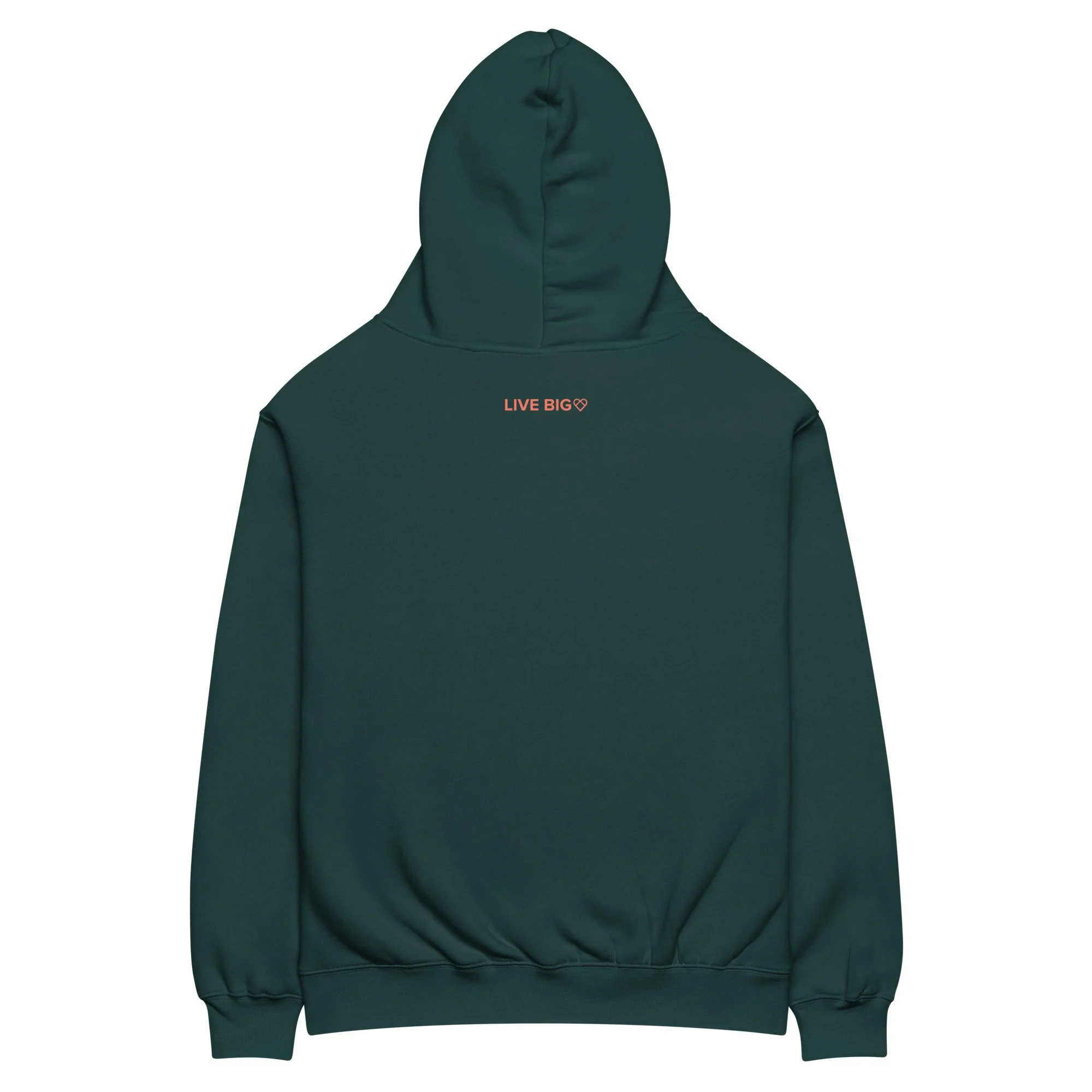 Perfect is a Scam hoodie