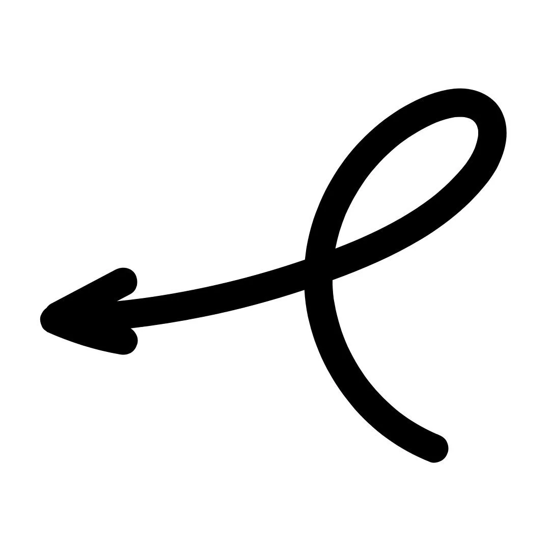 Black arrow with a loop, pointing to the left, on a white background.