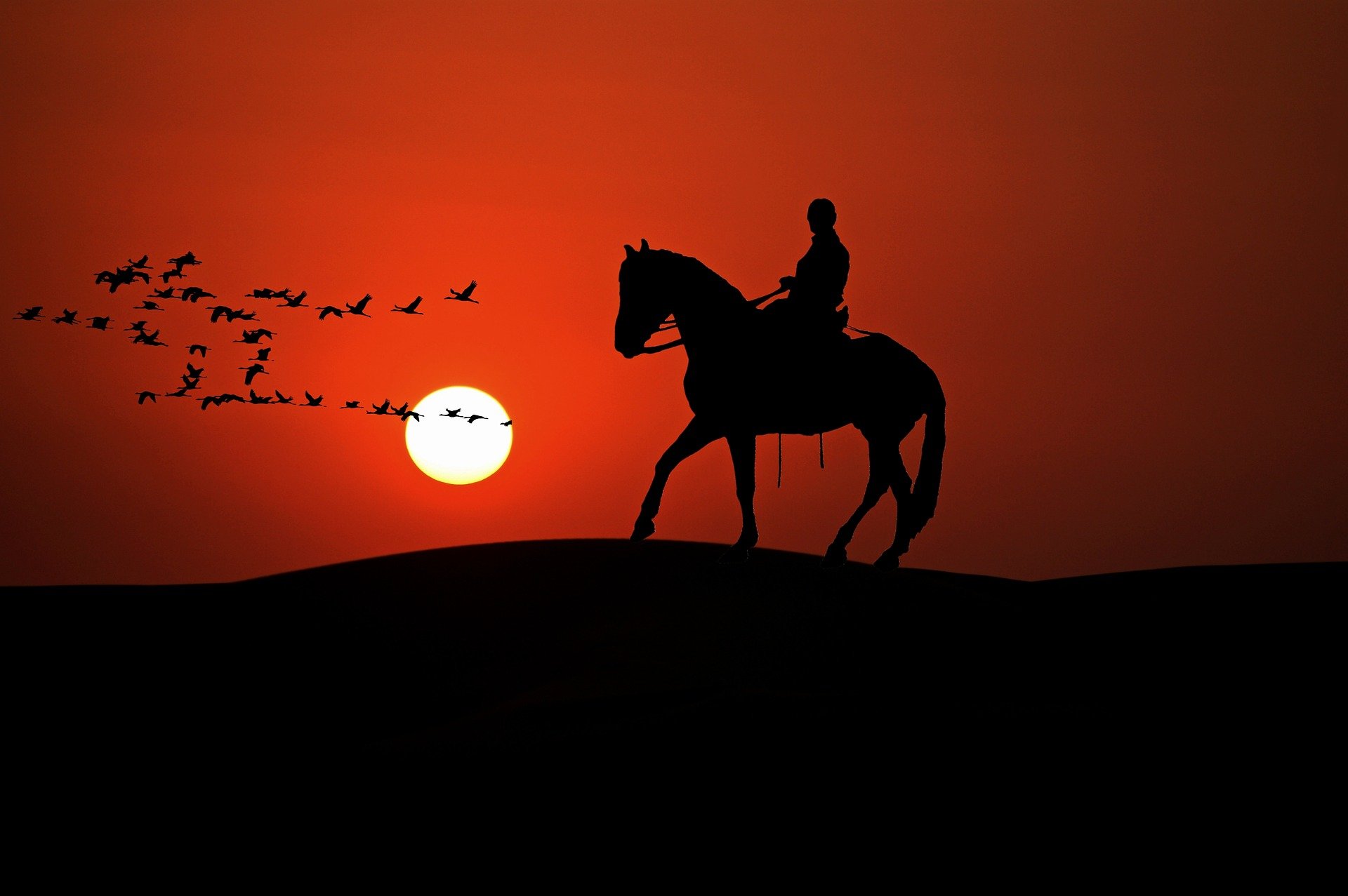 equestrian-2121501_1920.jpg