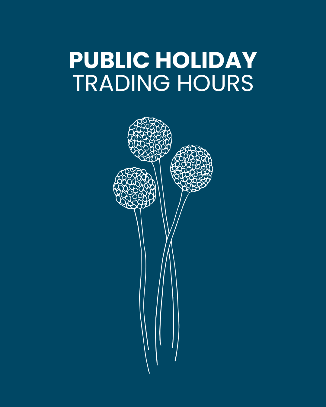 Labour Day Public Holiday Trading Hours