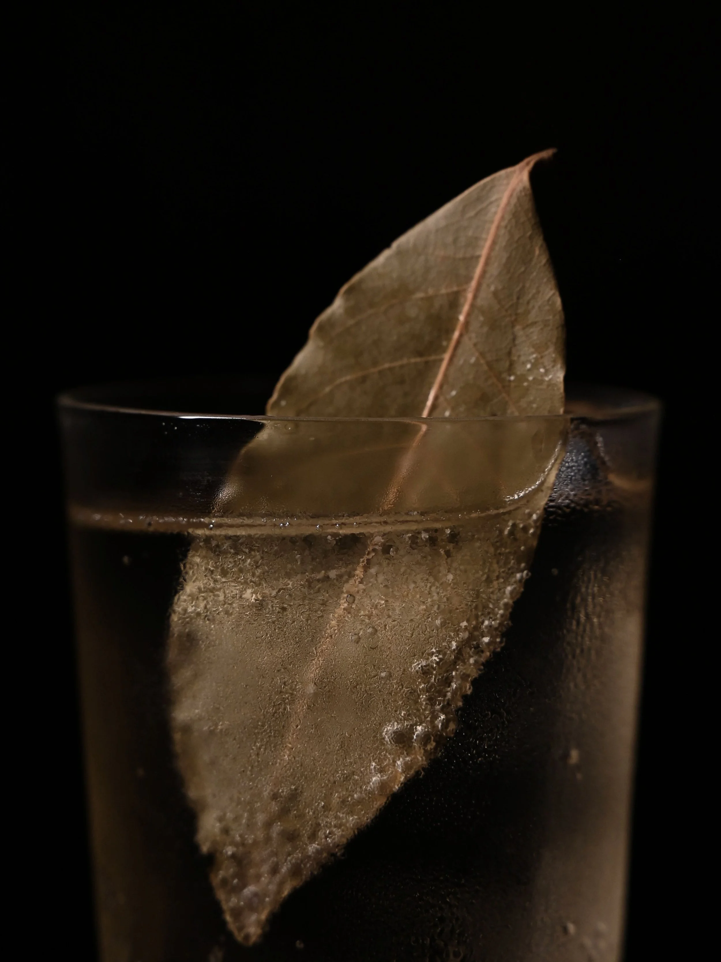Close-up of a dried brown leaf resting on the surface of a glass filled with a dark liquid, with a black background.