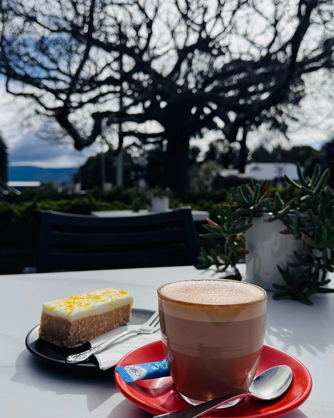 ☀️ Pockets of blue skies + great coffee = the perfect combo 🌸

Baringo Caf&eacute; is open 7 days a week from 8am&ndash;2pm, serving up your daily dose of delicious. 

Whether you're craving a fresh breakfast, a hearty lunch, or just need that coffe