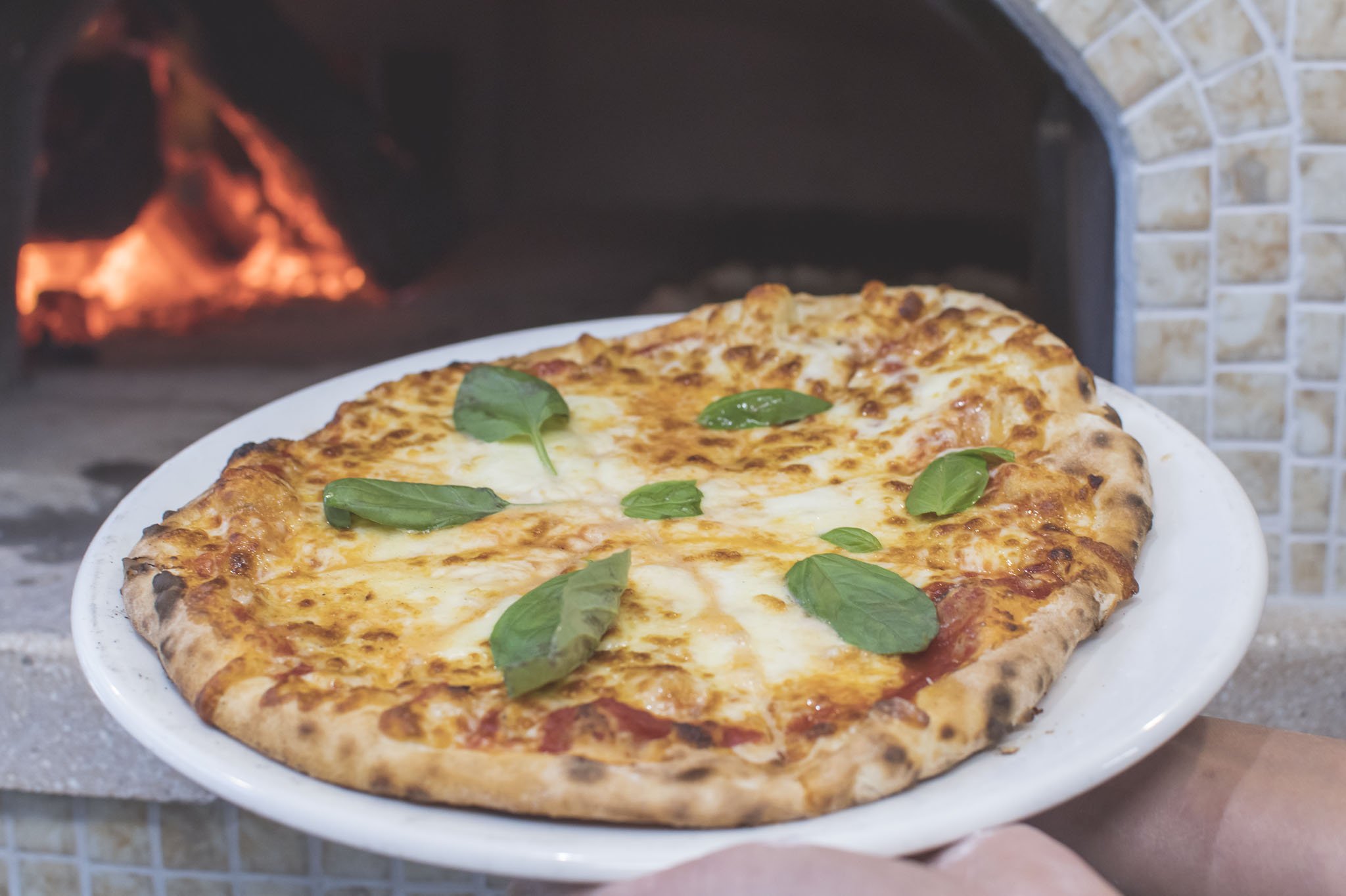 Margherita Pizza