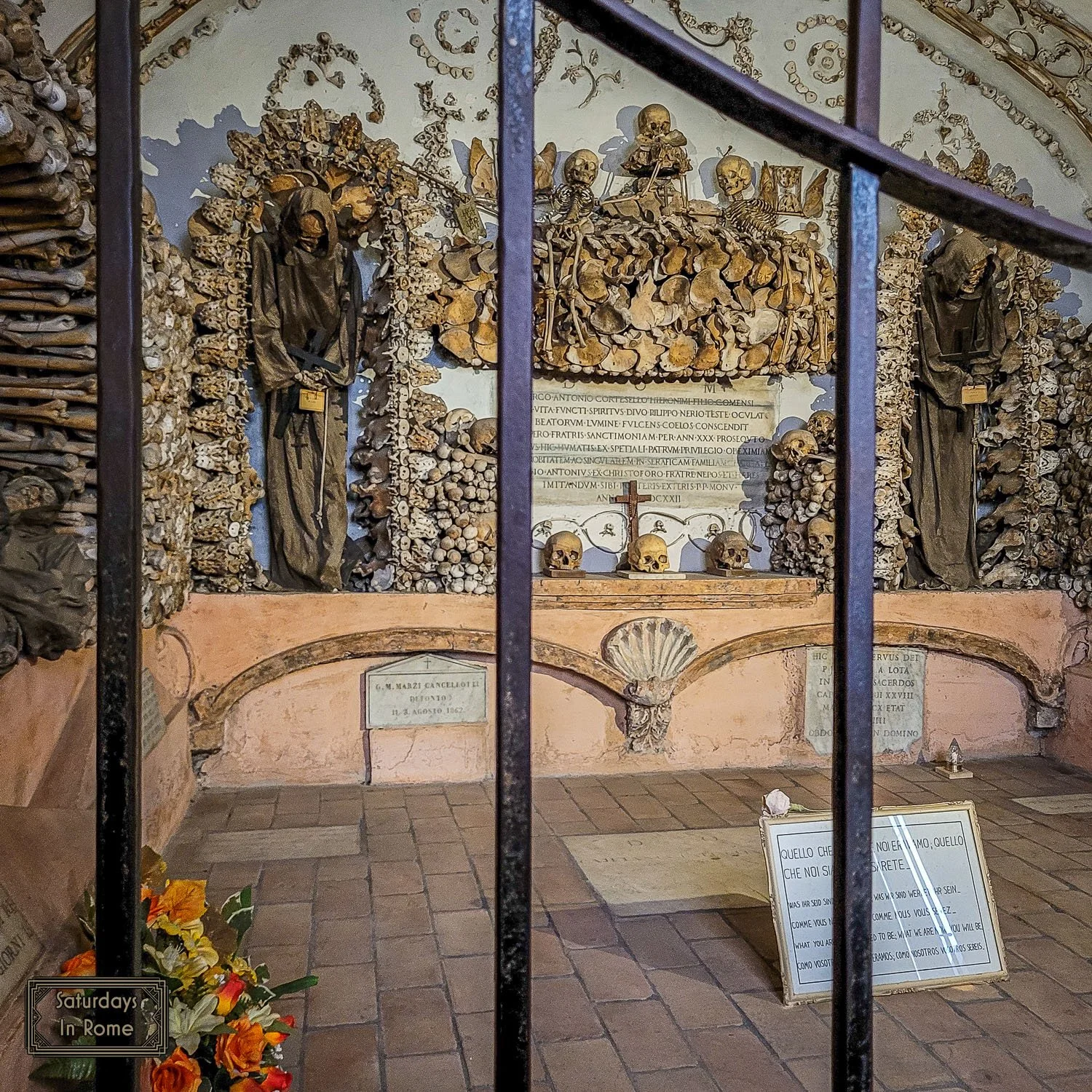 Image 18