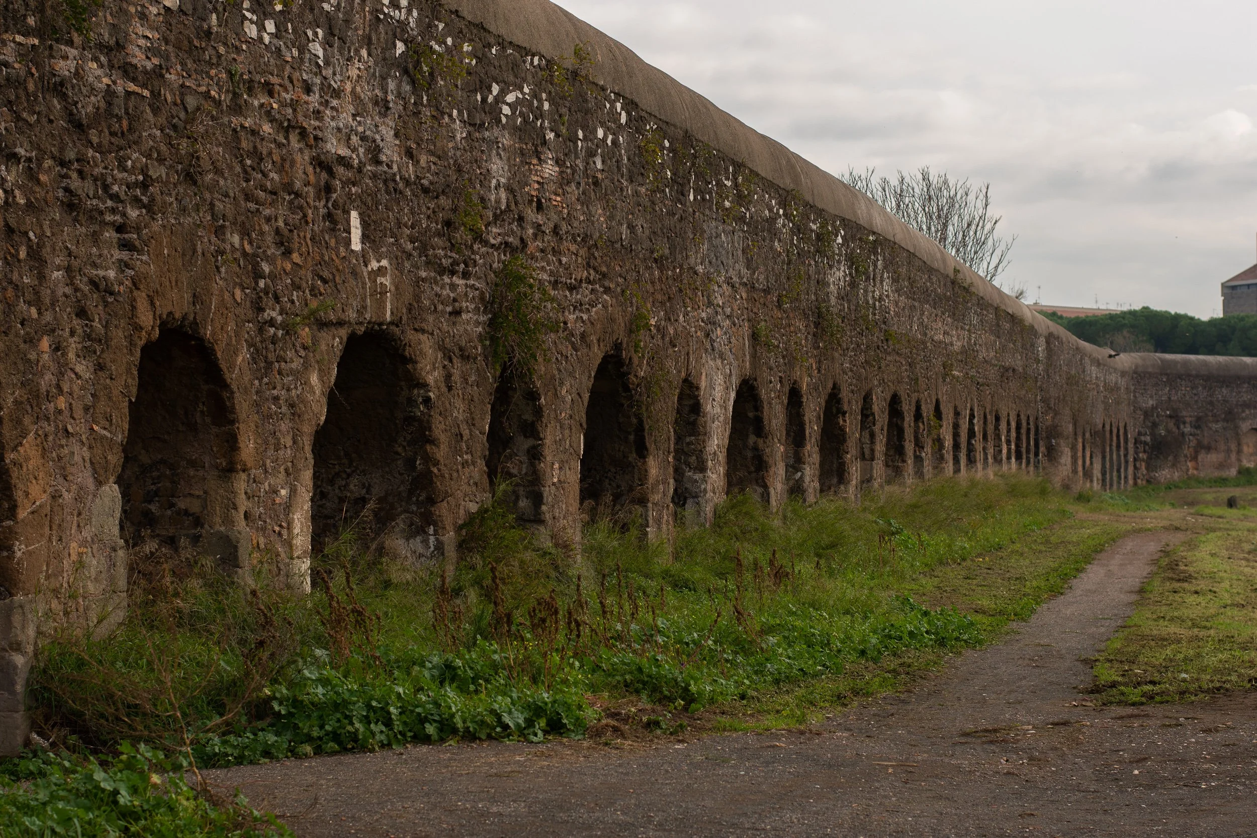 Talking Horse Aqueduct - ajqyxzi