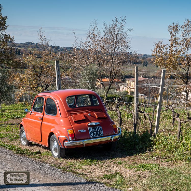 The Cantine Eredi dei Papi Is One The Best Wineries Near Rome