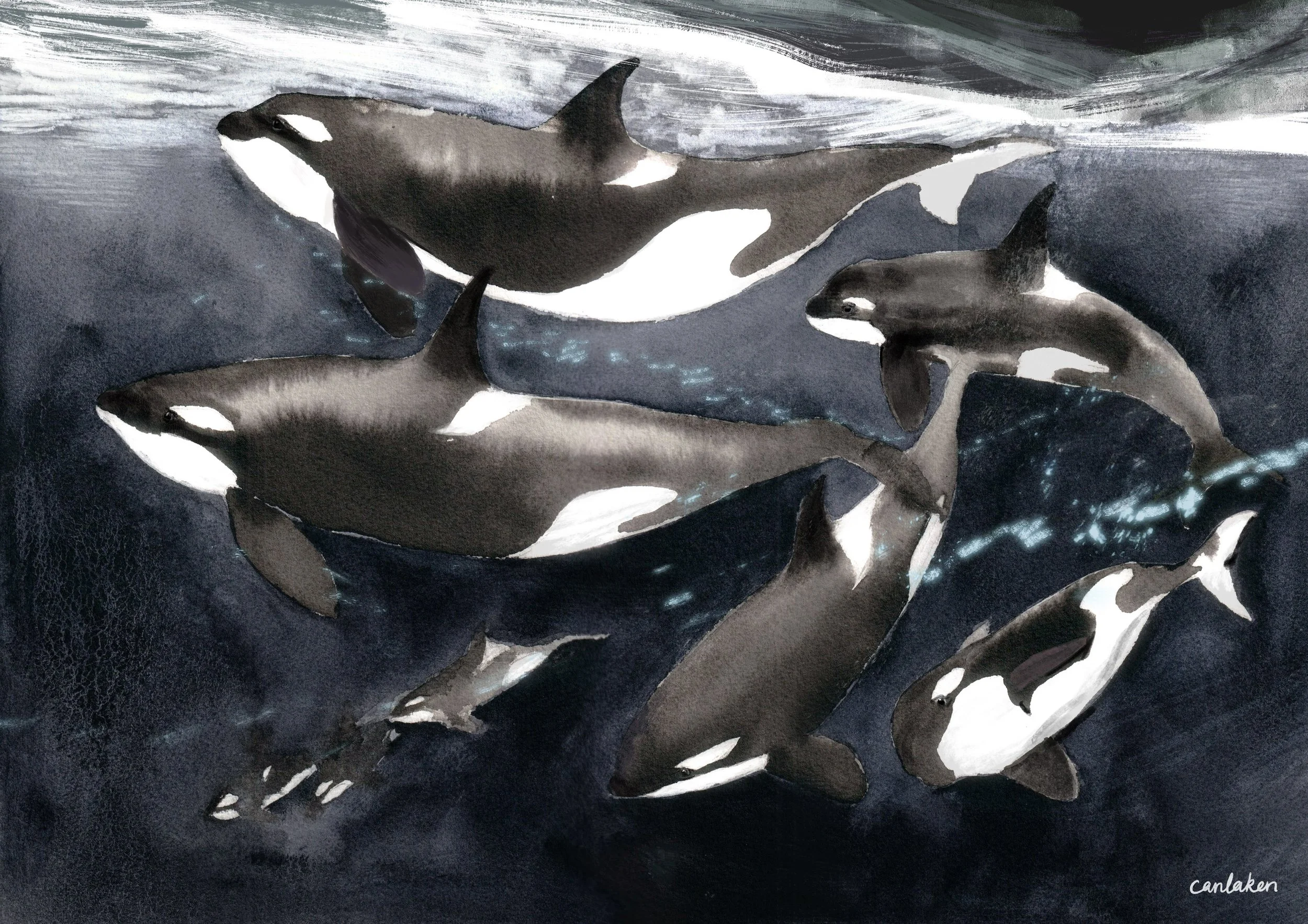 GhostsUnderIcea3 copy.jpg