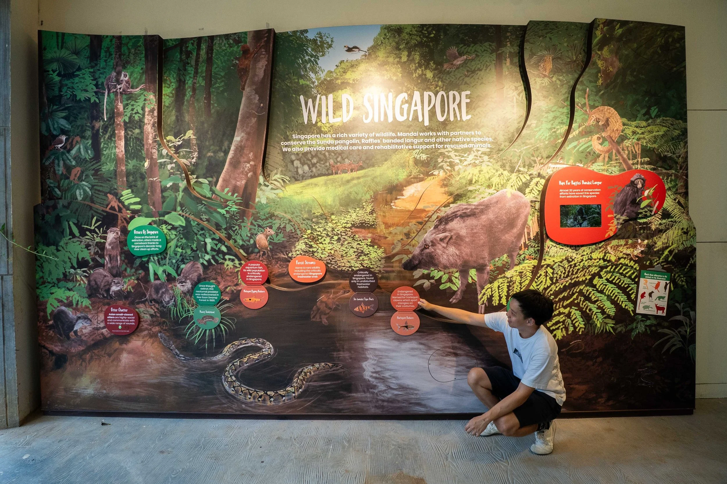 Mandai Rainforest Wild Adventure