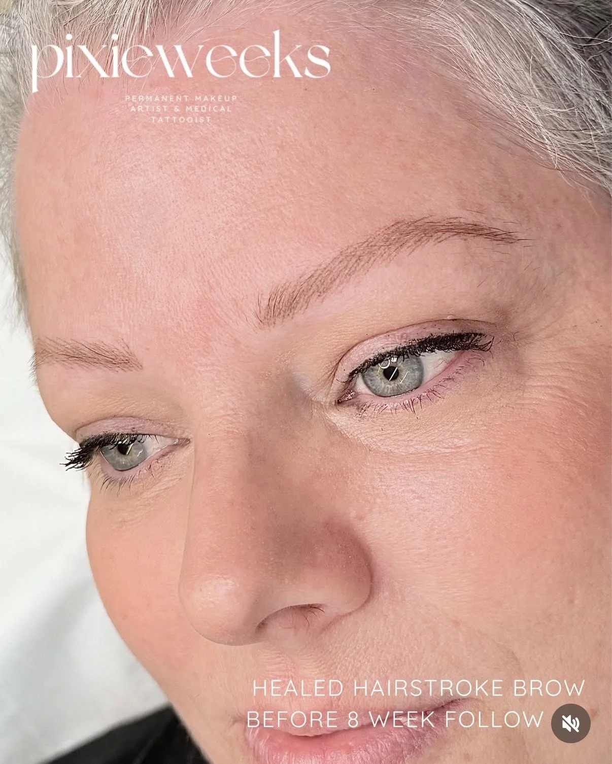 Hairstroke Brow - Healed
