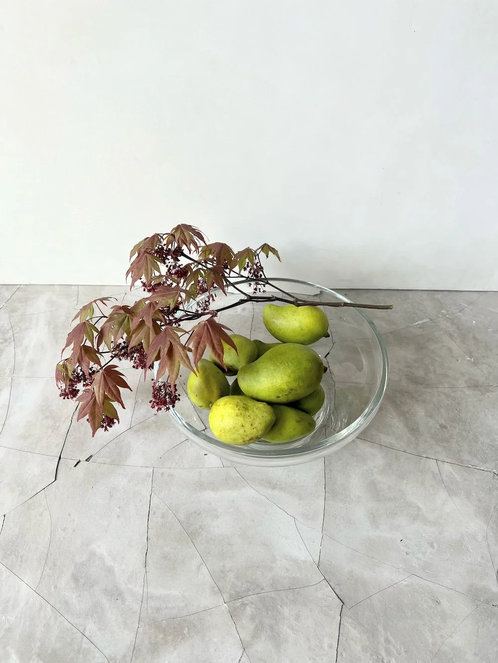 Plant styling Karen Ferries