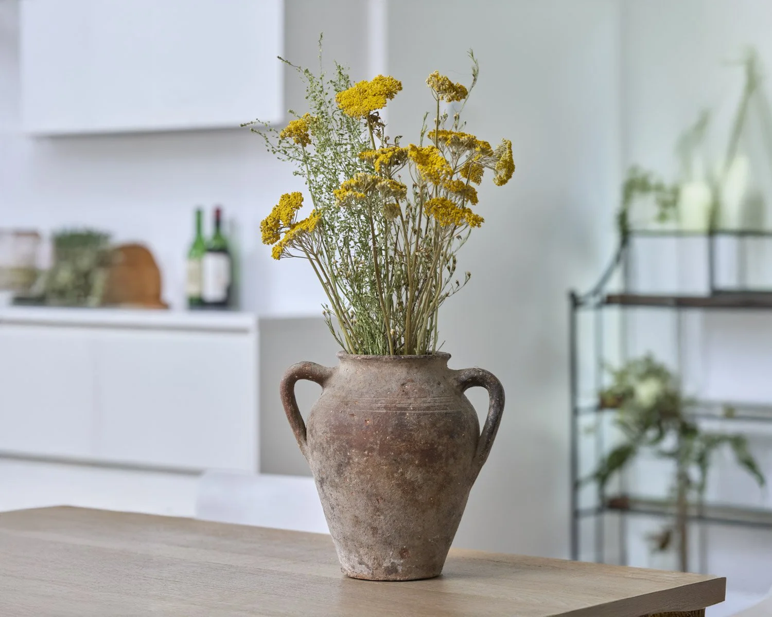 Plant and prop styling Karen Ferries