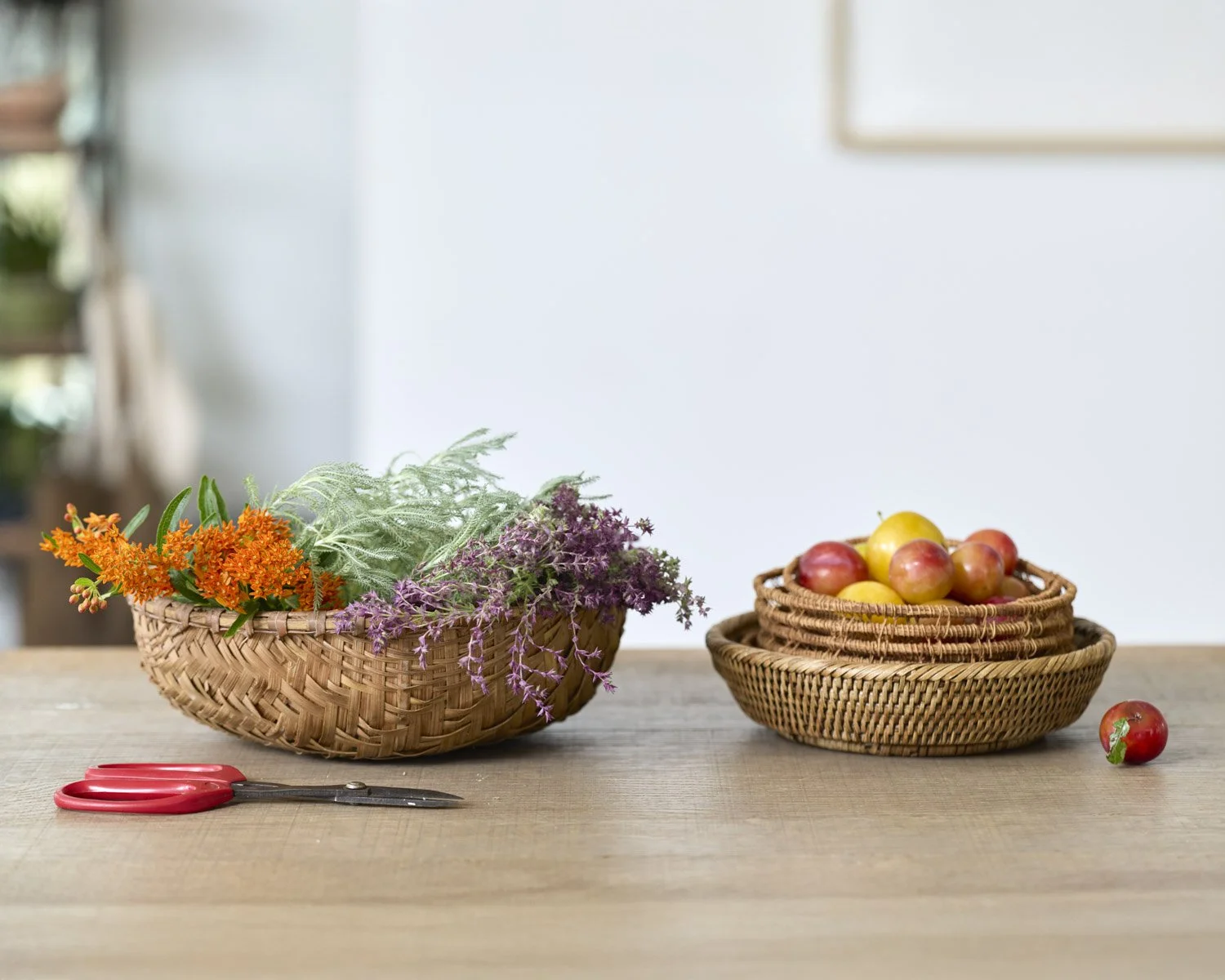 Plant and prop styling Karen Ferries
