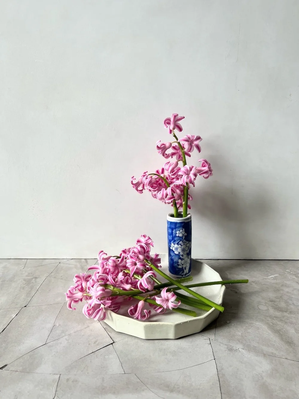 Plant styling Karen Ferries