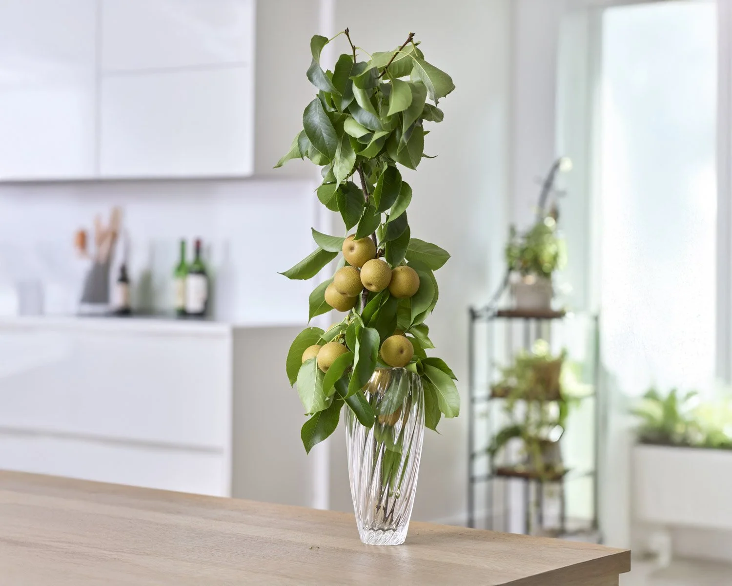 Plant and prop styling Karen Ferries