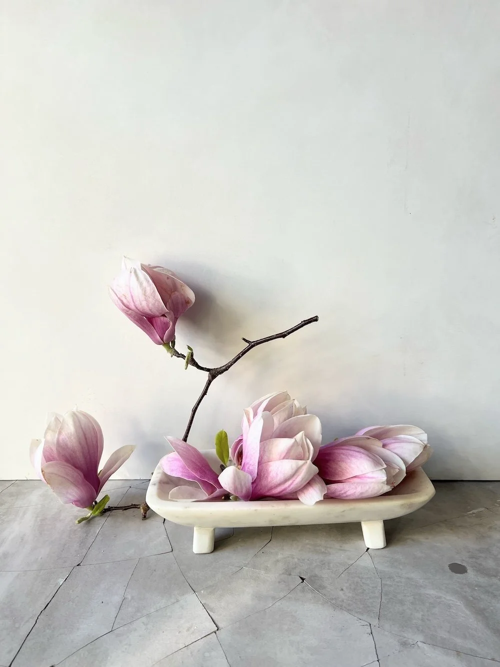 Plant styling Karen Ferries