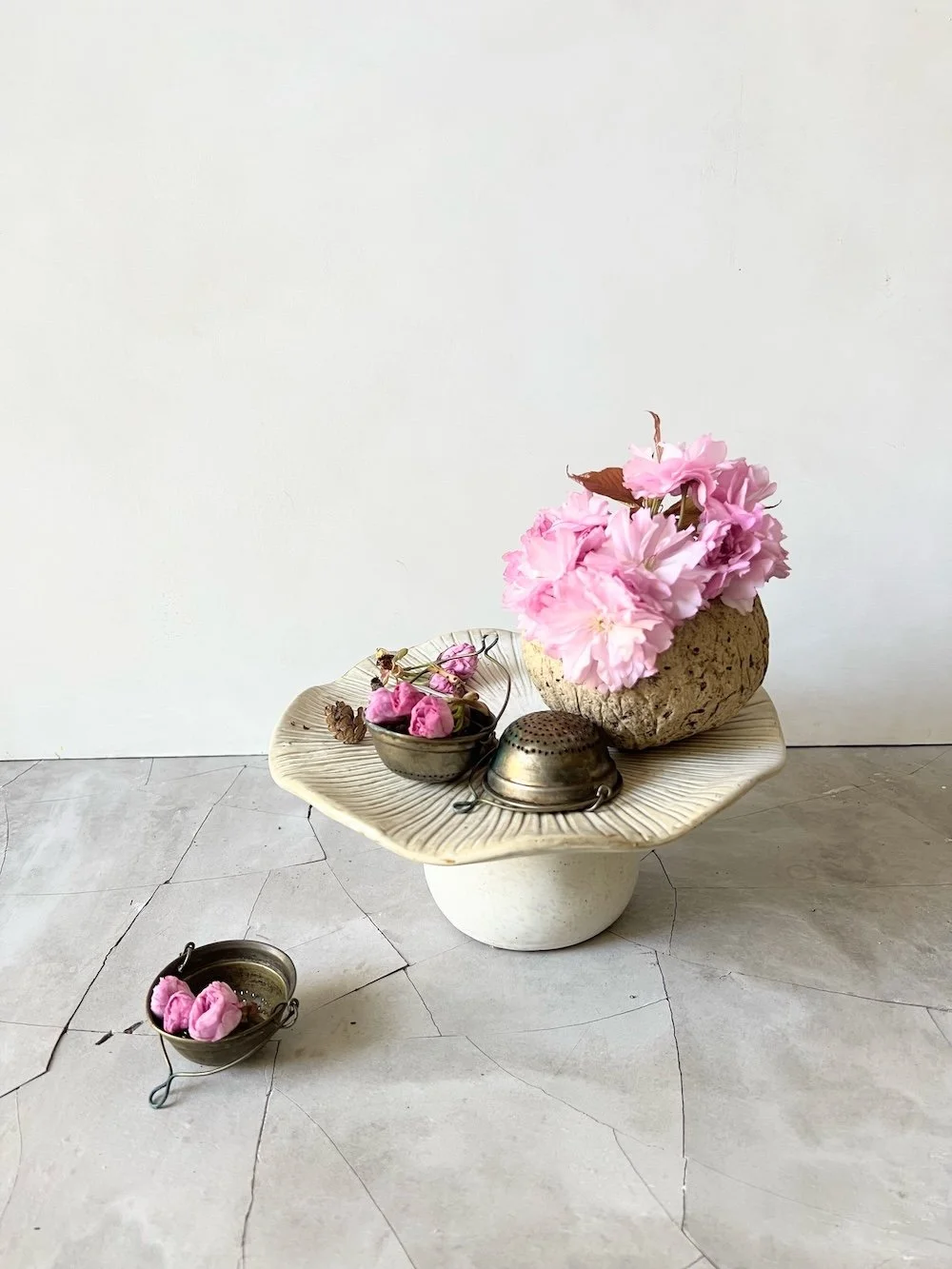 Plant styling Karen Ferries