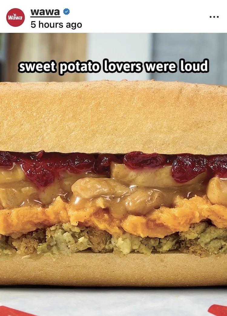 Close-up of a loaded sweet potato casserole sandwich with mashed sweet potatoes, cranberries, and a fried chicken fillet in a sandwich bun.