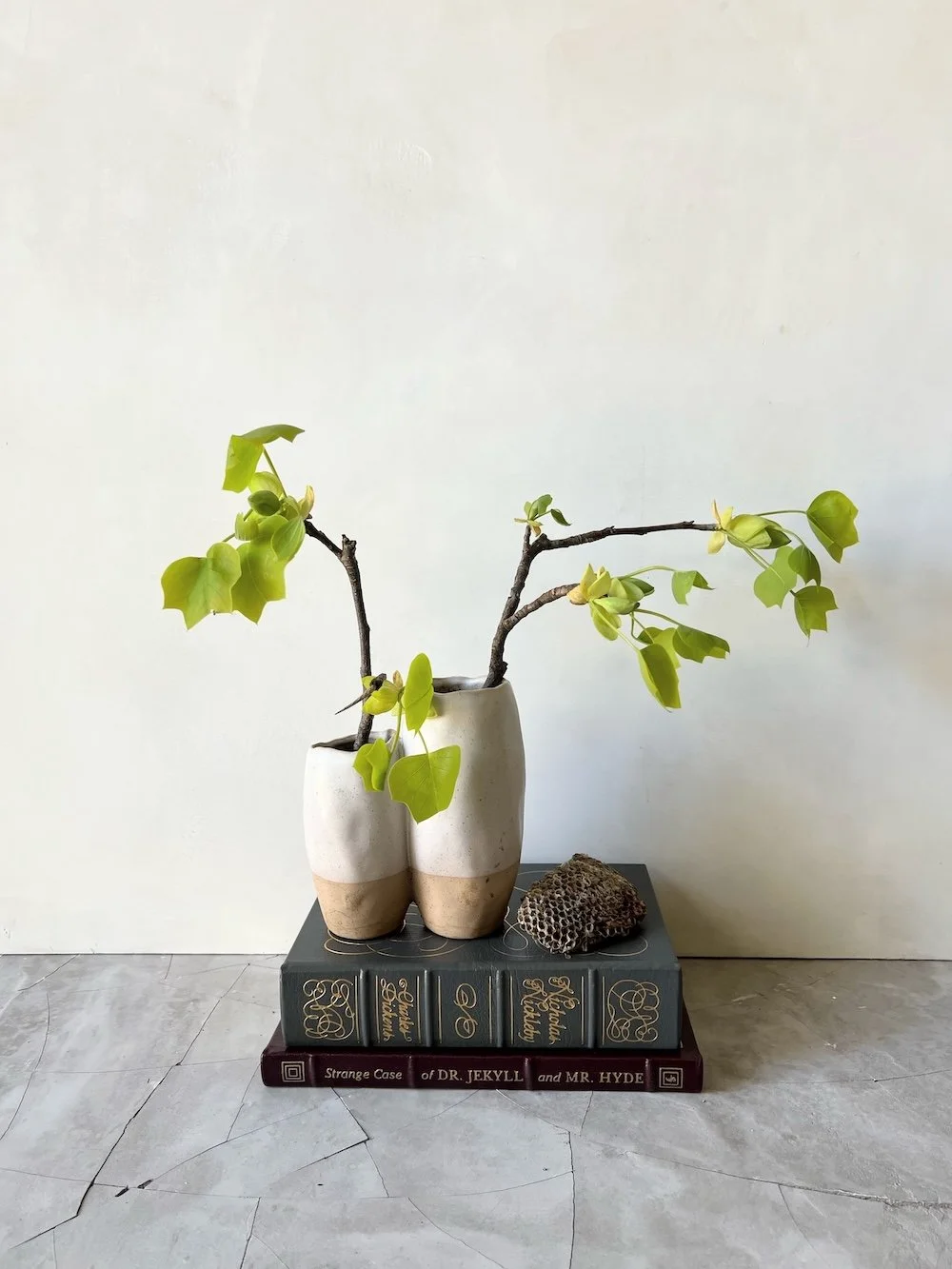 Plant styling Karen Ferries