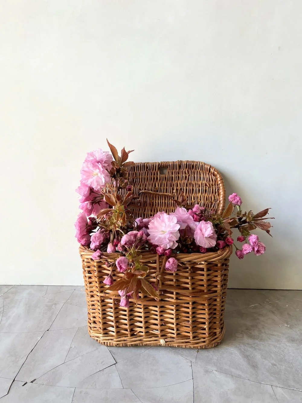 Plant styling Karen Ferries