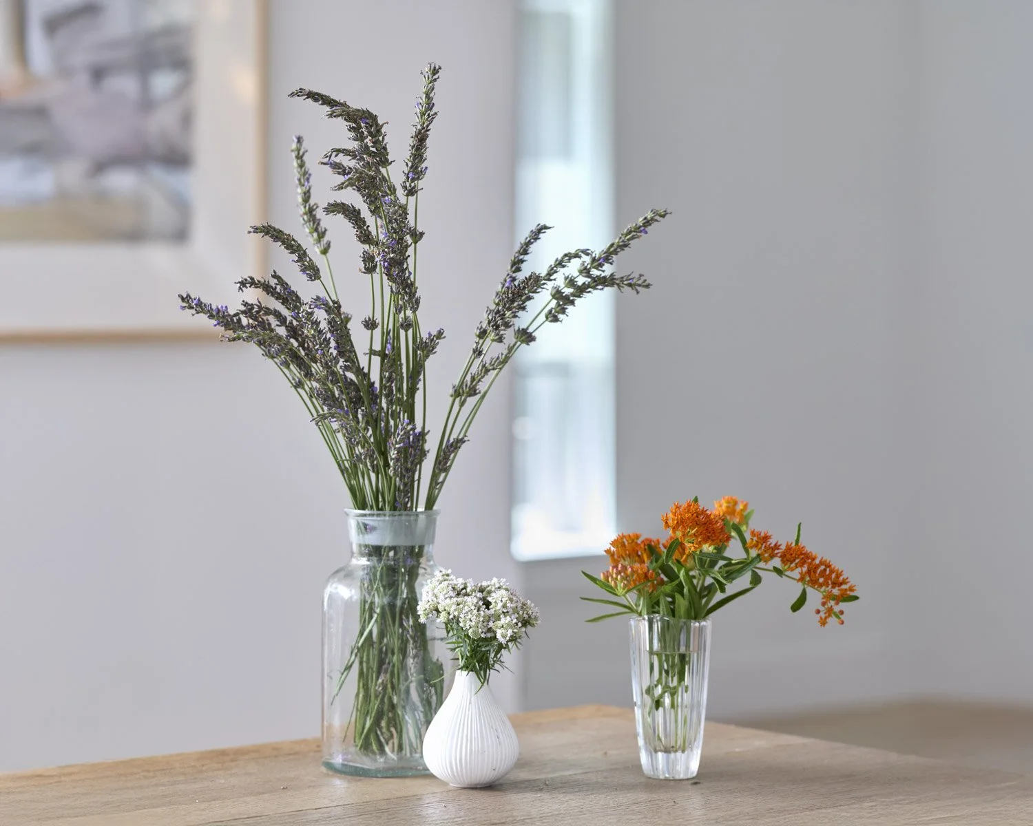 Plant and prop styling Karen Ferries