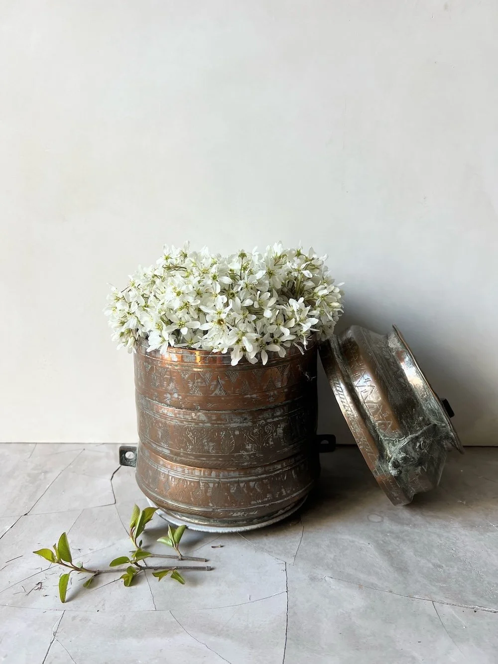 Plant styling Karen Ferries
