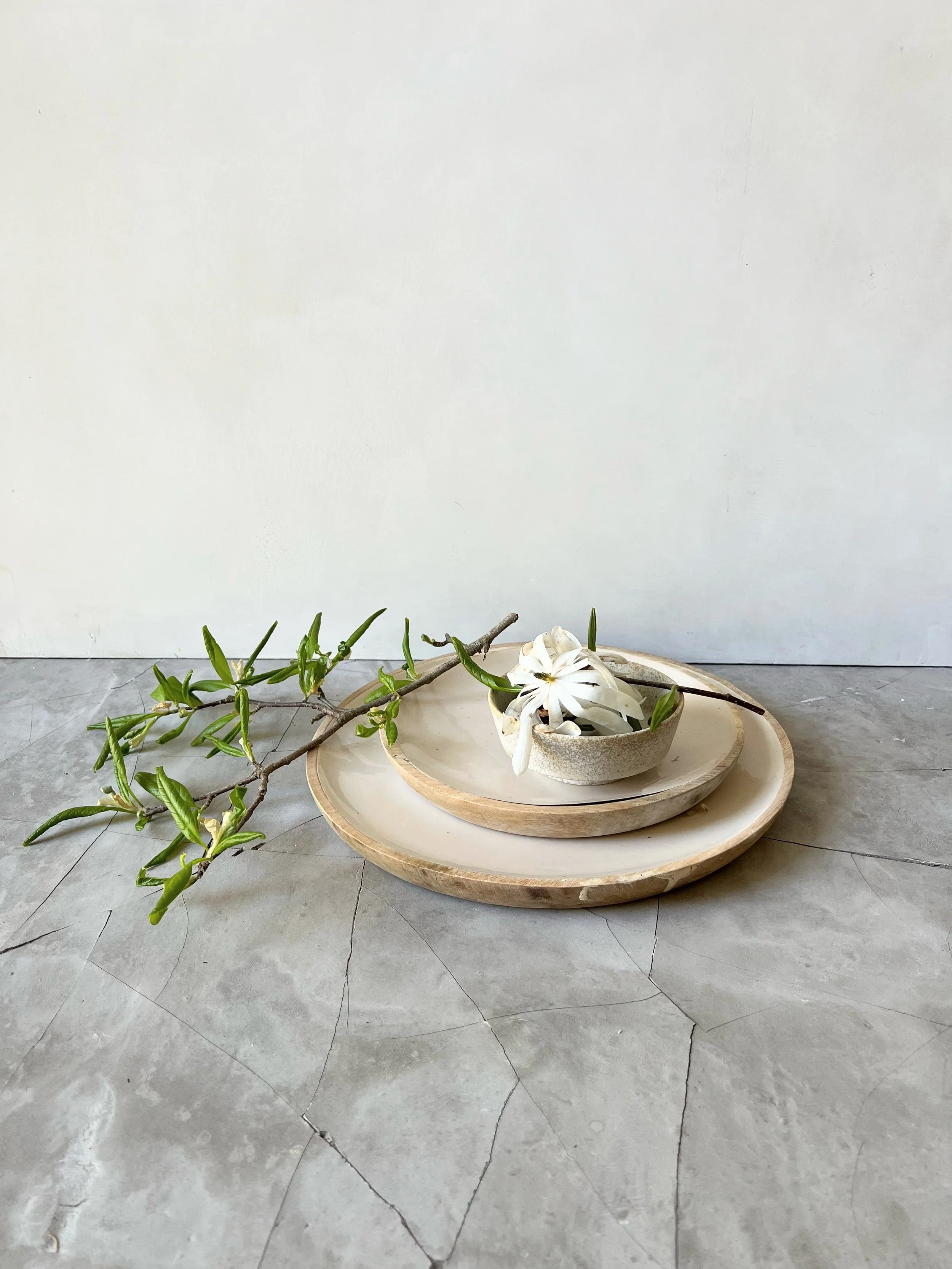 Plant styling Karen Ferries