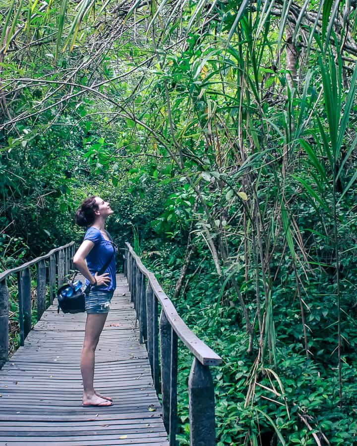 achtsam reisen Costa Rica Regenwald