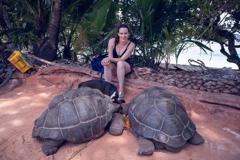 nachhaltig reisen Seychellen Schildkroeten